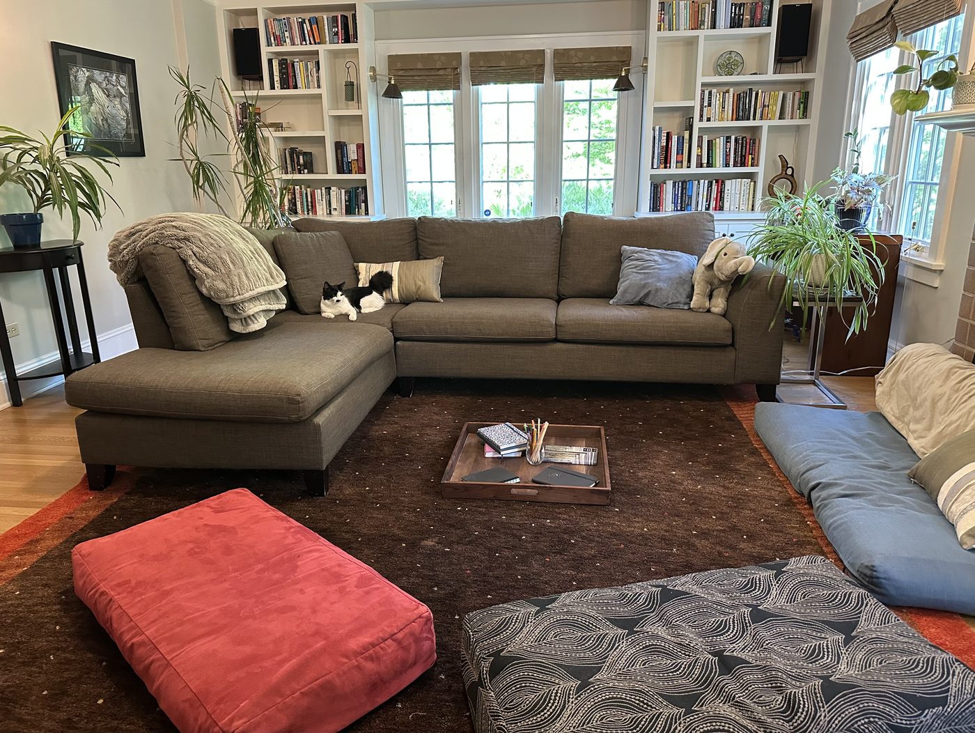 The Grove's cozy meeting room — floor cushions and journals arranged around a soft rug, with a sofa, bookshelves, and houseplants.